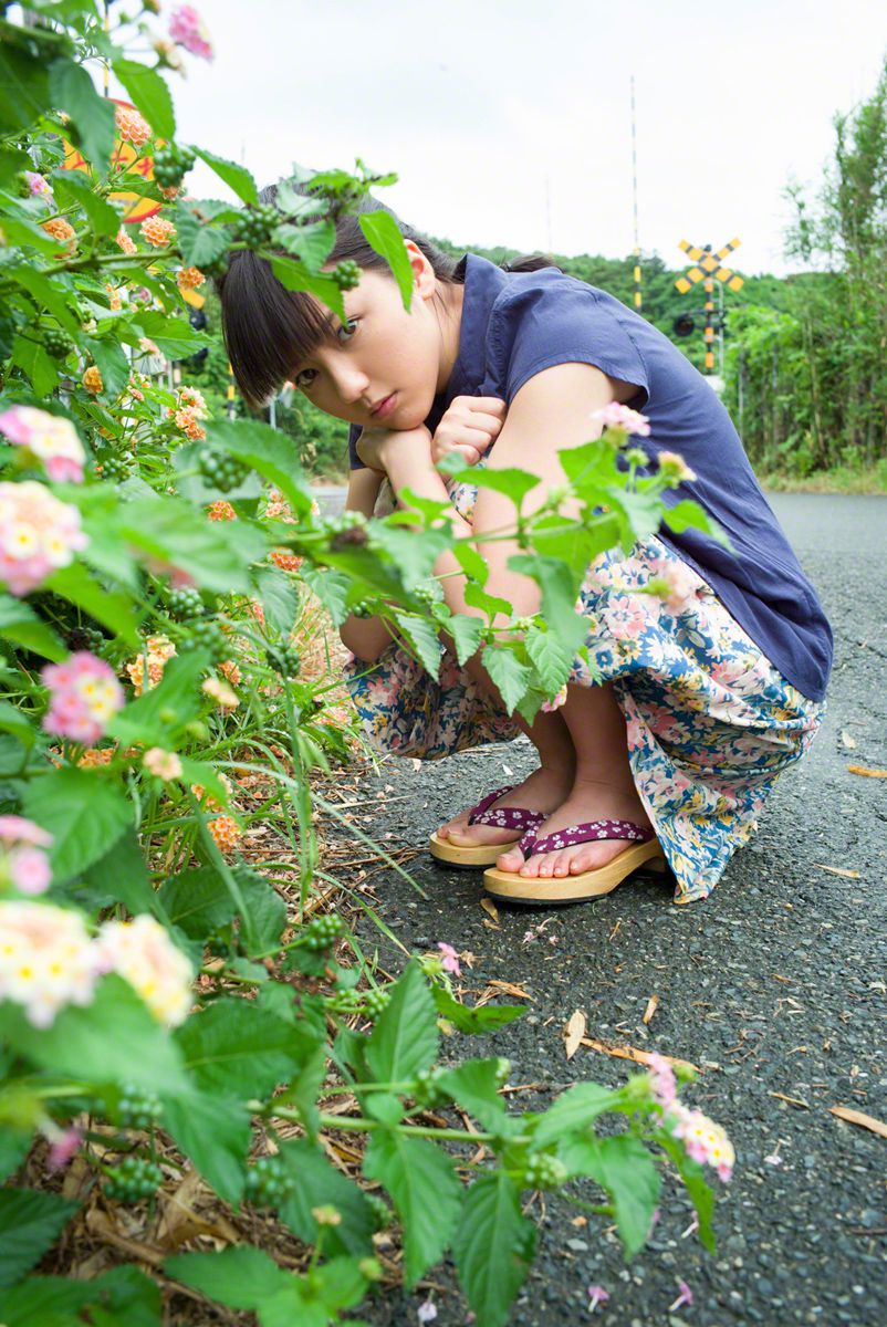 野王的绿茶修养